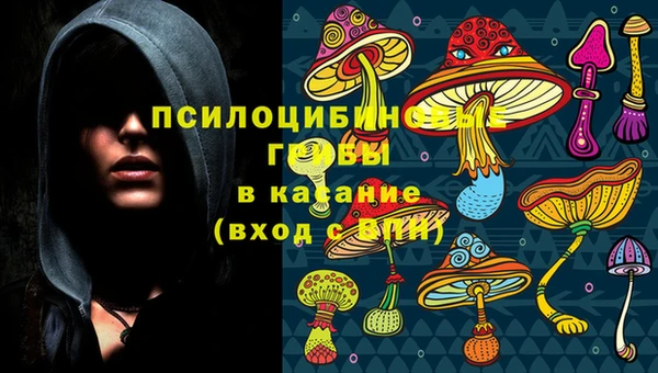 молекула духа Аркадак