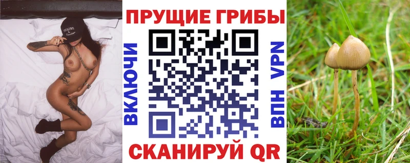 гидра как войти  Рузаевка  Галлюциногенные грибы мухоморы 